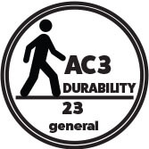 AC3 Logo