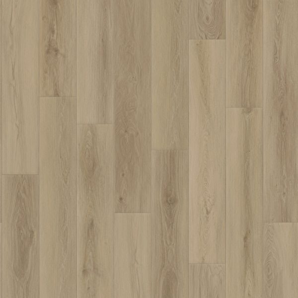 Grandview Kaymoor Room Scene