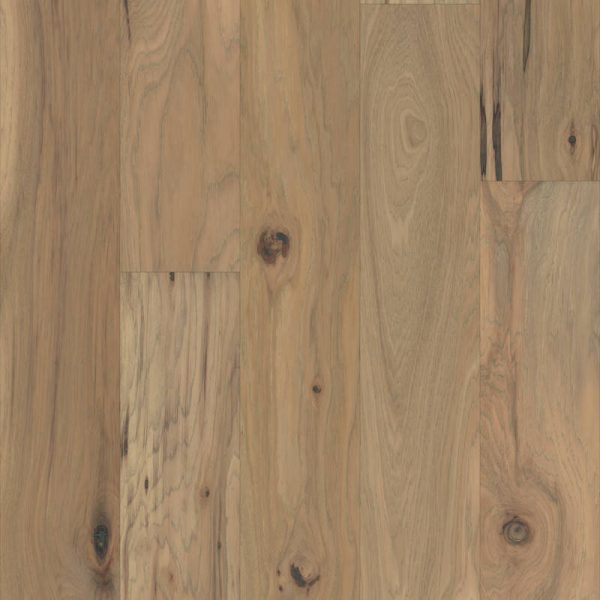 Talamar-Shady-Cove-swatch